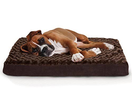 Furhaven Orthopedic Memory Foam Dog Bed