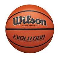 Wilson Evolution Indoor Basketball